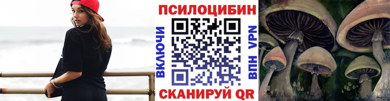 где купить   Норильск  Псилоцибиновые грибы MAGIC MUSHROOMS 