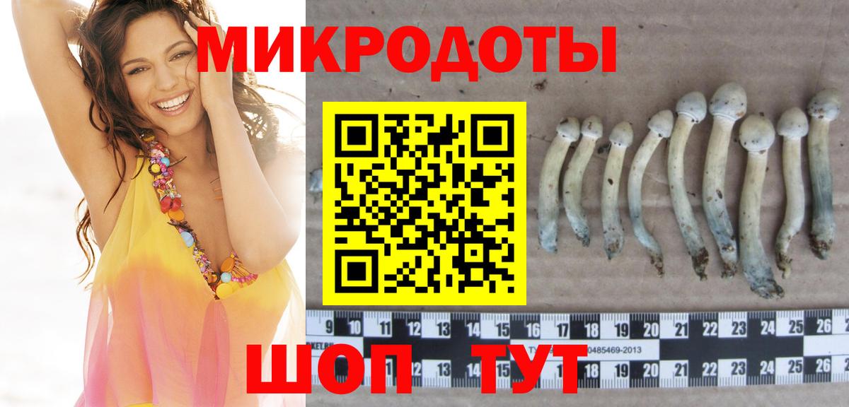 Псилоцибиновые грибы мухоморы  где найти наркотики  Норильск  Вход с VPN 